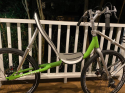 2904C22F-CE3D-40C8-845E-225A95D46542.png