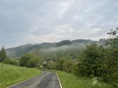 IMG_5255.JPG