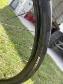 IMG_2976.jpeg