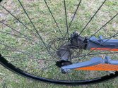 IMG_2962.jpeg