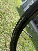 IMG_2977.jpeg