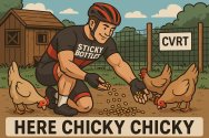 here chicky.jpg