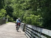 IMG_8465.jpeg