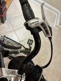 IMG_0137.jpeg