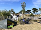 IMG_8676.jpeg
