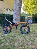 IMG_3717.jpeg