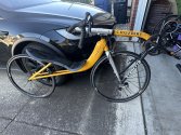IMG_6919.jpeg