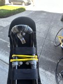 IMG_6920.jpeg